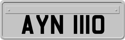 AYN1110