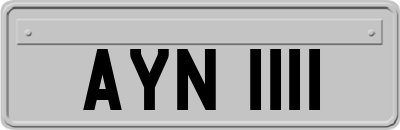 AYN1111