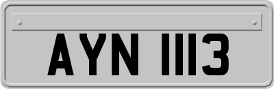 AYN1113