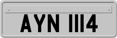 AYN1114