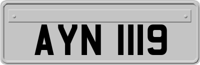 AYN1119