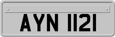 AYN1121