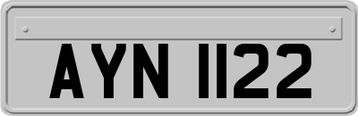 AYN1122