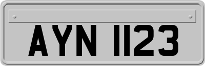 AYN1123