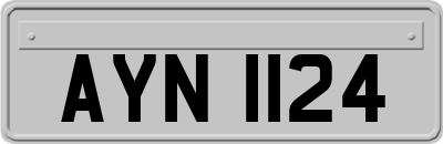 AYN1124