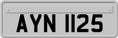 AYN1125