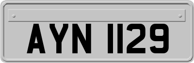 AYN1129