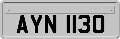 AYN1130