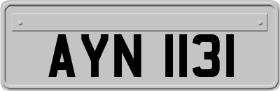 AYN1131