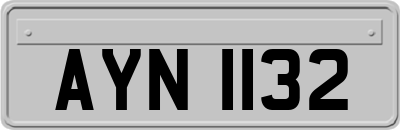 AYN1132