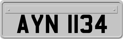 AYN1134