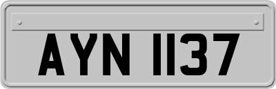 AYN1137