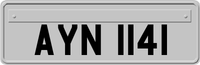 AYN1141