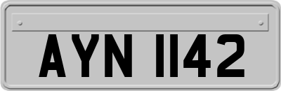 AYN1142