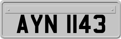AYN1143