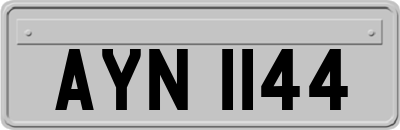 AYN1144