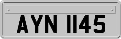 AYN1145