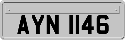 AYN1146