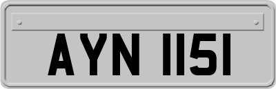 AYN1151