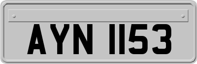 AYN1153