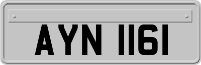 AYN1161