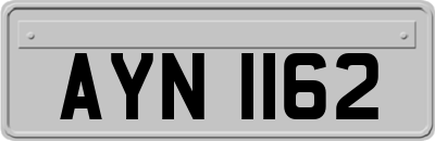 AYN1162