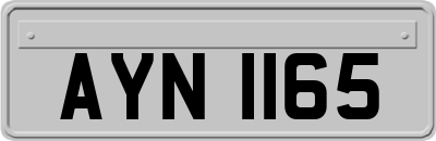 AYN1165