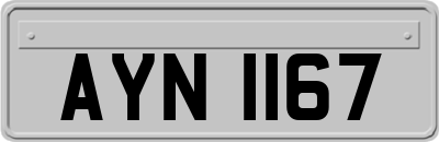 AYN1167