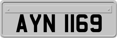 AYN1169