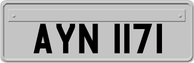 AYN1171