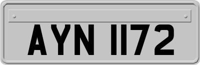 AYN1172
