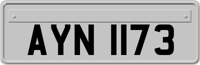 AYN1173