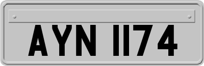 AYN1174