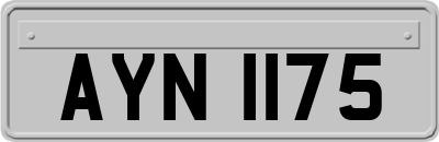 AYN1175
