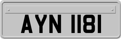 AYN1181