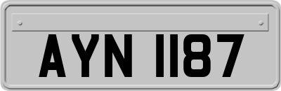AYN1187