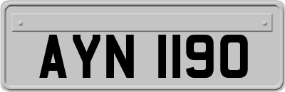 AYN1190