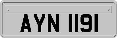 AYN1191