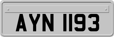 AYN1193