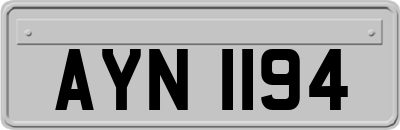 AYN1194