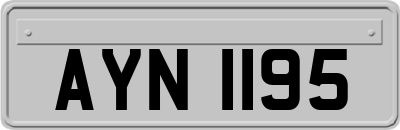 AYN1195