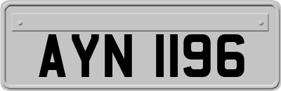 AYN1196