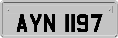 AYN1197