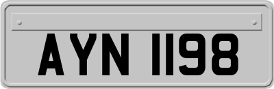 AYN1198
