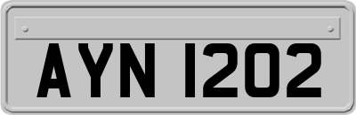 AYN1202