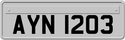AYN1203