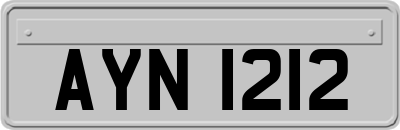 AYN1212