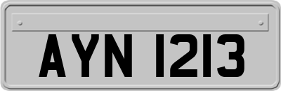 AYN1213