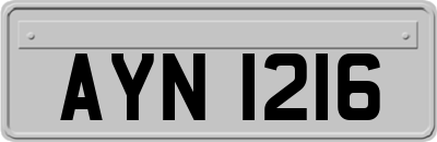 AYN1216