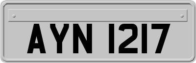 AYN1217
